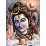 Lord Shiva Ashirvaad